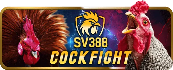 Video slot hiện đại với đồ họa 3D và nhiều tính năng bonus